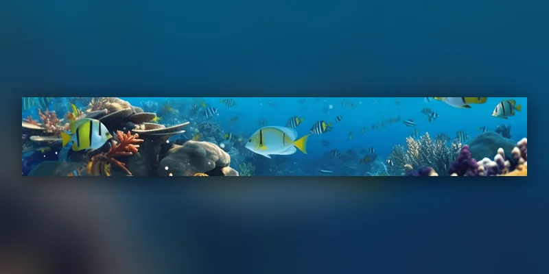 Professional tactics for Mega Fishing players at PeryaPlay 2 Animations bring the ocean floor to life